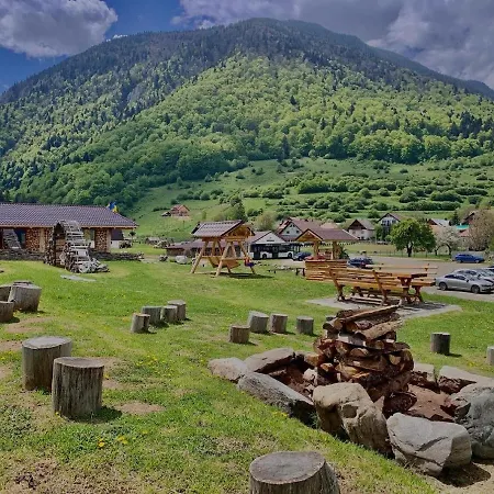 Pensiunea 3 Brazi Hotel