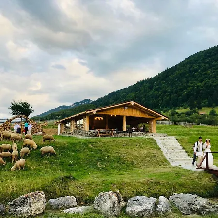 Pensiunea 3 Brazi Hotel Zarnesti
