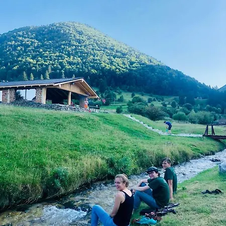 Pensiunea 3 Brazi