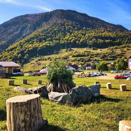 Pensiunea 3 Brazi 3* Zarnesti